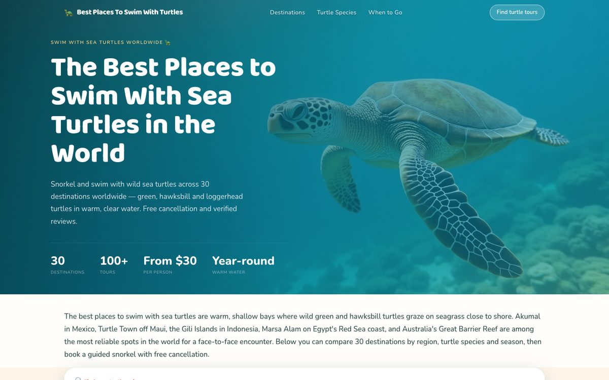 best places to swim with turtles — homepage